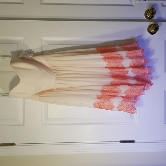 Cute Fit and Flare David's Bridal dress women size 10 - Picture 1 of 4